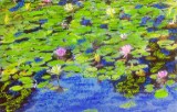 Lily Pond